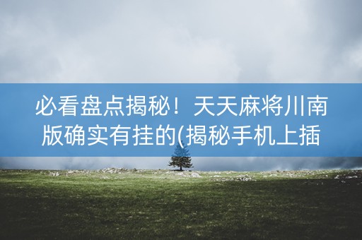 必看盘点揭秘！天天麻将川南版确实有挂的(揭秘手机上插件免费)