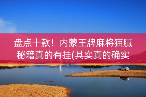 盘点十款！内蒙王牌麻将猫腻秘籍真的有挂(其实真的确实有挂)
