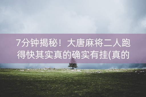 7分钟揭秘！大唐麻将二人跑得快其实真的确实有挂(真的有挂确实有挂)