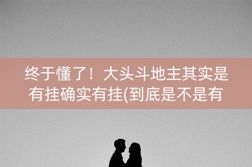 终于懂了！大头斗地主其实是有挂确实有挂(到底是不是有挂)