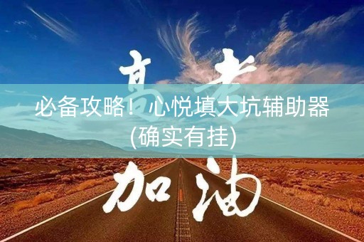 必备攻略！心悦填大坑辅助器(确实有挂)
