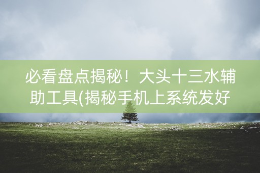 必看盘点揭秘！大头十三水辅助工具(揭秘手机上系统发好牌)