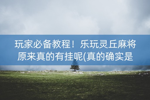 玩家必备教程！乐玩灵丘麻将原来真的有挂呢(真的确实是有挂)