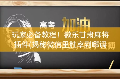 玩家必备教程！微乐甘肃麻将插件(揭秘微信里胜率到哪调)