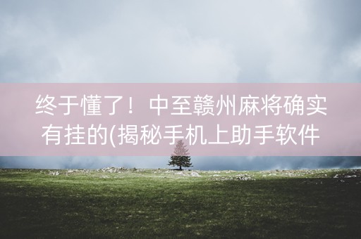 终于懂了！中至赣州麻将确实有挂的(揭秘手机上助手软件)
