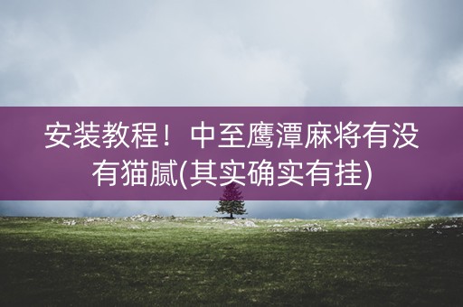 安装教程！中至鹰潭麻将有没有猫腻(其实确实有挂)