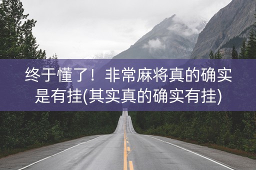 终于懂了！非常麻将真的确实是有挂(其实真的确实有挂)