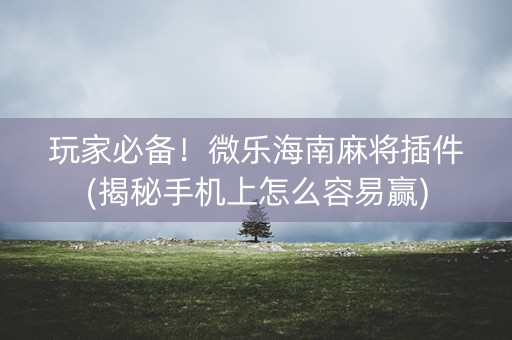玩家必备！微乐海南麻将插件(揭秘手机上怎么容易赢)