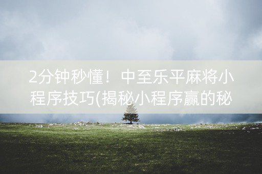 2分钟秒懂！中至乐平麻将小程序技巧(揭秘小程序赢的秘诀)