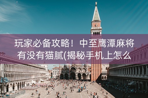 玩家必备攻略！中至鹰潭麻将有没有猫腻(揭秘手机上怎么容易赢)
