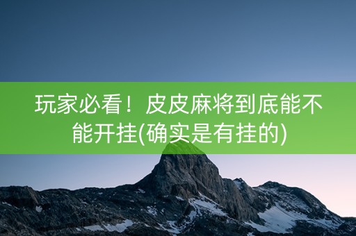 玩家必看！皮皮麻将到底能不能开挂(确实是有挂的)