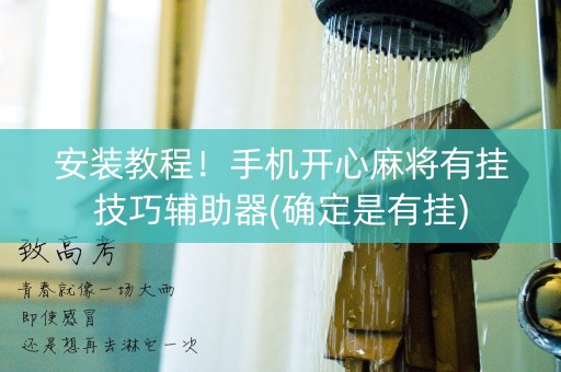 安装教程！手机开心麻将有挂技巧辅助器(确定是有挂)