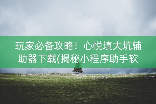 玩家必备攻略！心悦填大坑辅助器下载(揭秘小程序助手软件)