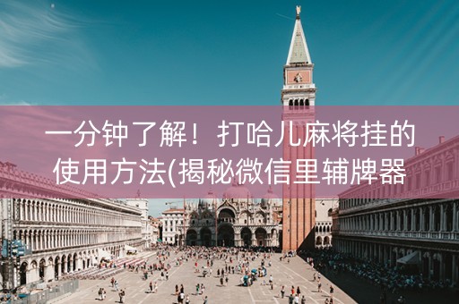 一分钟了解！打哈儿麻将挂的使用方法(揭秘微信里辅牌器)