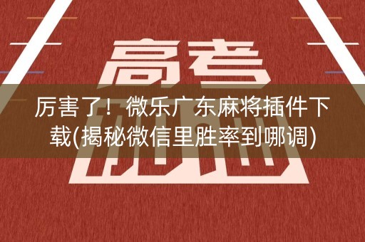 厉害了！微乐广东麻将插件下载(揭秘微信里胜率到哪调)