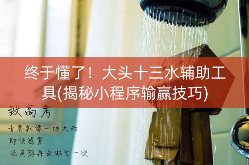 终于懂了！大头十三水辅助工具(揭秘小程序输赢技巧)