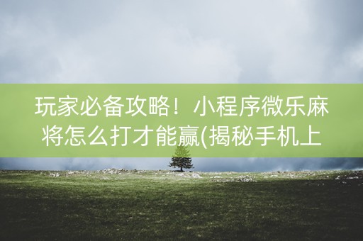 玩家必备攻略！小程序微乐麻将怎么打才能赢(揭秘手机上输赢规律)