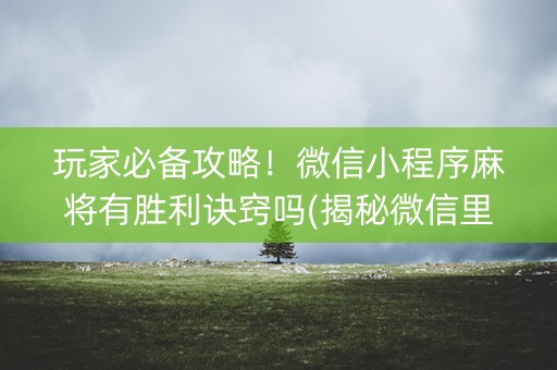 玩家必备攻略！微信小程序麻将有胜利诀窍吗(揭秘微信里输赢规律)