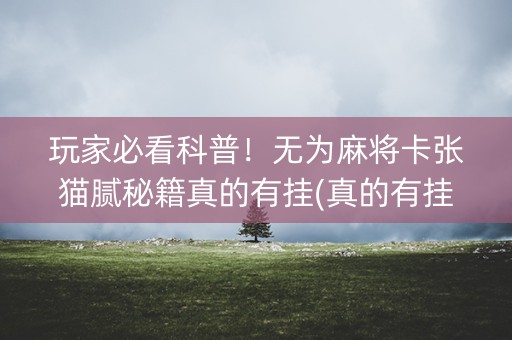 玩家必看科普！无为麻将卡张猫腻秘籍真的有挂(真的有挂确实有挂)