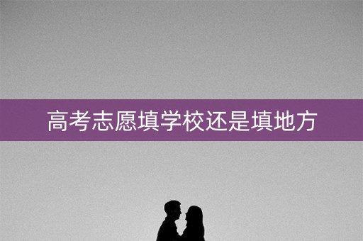 高考志愿填学校还是填地方