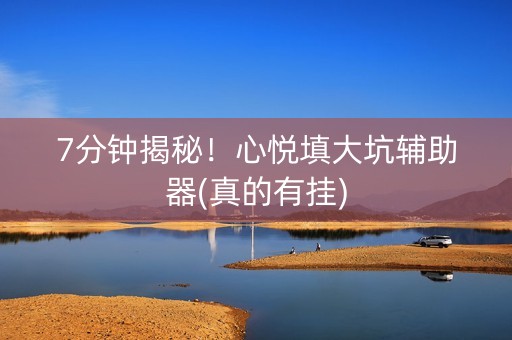 7分钟揭秘！心悦填大坑辅助器(真的有挂)