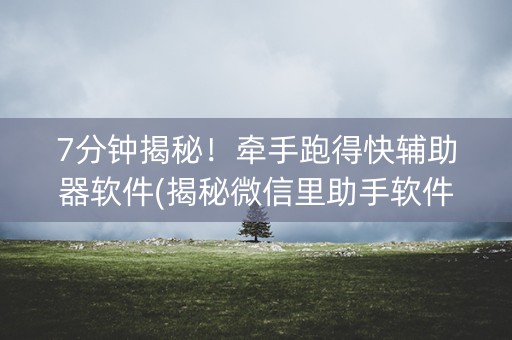 7分钟揭秘！牵手跑得快辅助器软件(揭秘微信里助手软件)