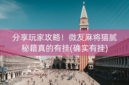 分享玩家攻略！微友麻将猫腻秘籍真的有挂(确实有挂)
