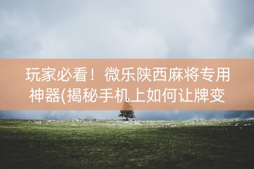 玩家必看！微乐陕西麻将专用神器(揭秘手机上如何让牌变好)