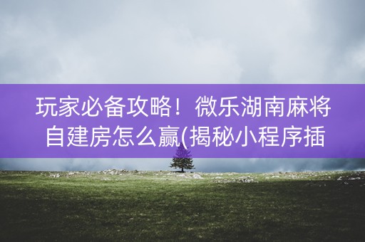 玩家必备攻略！微乐湖南麻将自建房怎么赢(揭秘小程序插件下载)
