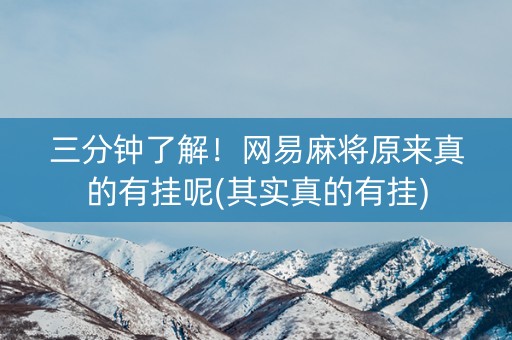 三分钟了解！网易麻将原来真的有挂呢(其实真的有挂)