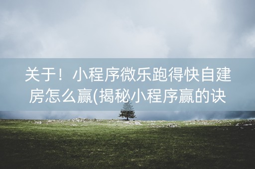 关于！小程序微乐跑得快自建房怎么赢(揭秘小程序赢的诀窍)