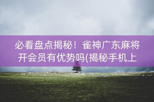 必看盘点揭秘！雀神广东麻将开会员有优势吗(揭秘手机上输赢规律)