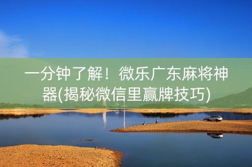 一分钟了解！微乐广东麻将神器(揭秘微信里赢牌技巧)