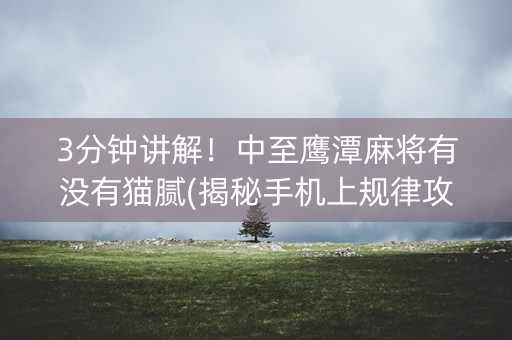 3分钟讲解！中至鹰潭麻将有没有猫腻(揭秘手机上规律攻略)