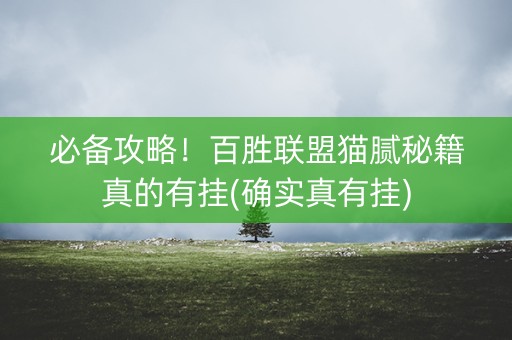 必备攻略！百胜联盟猫腻秘籍真的有挂(确实真有挂)