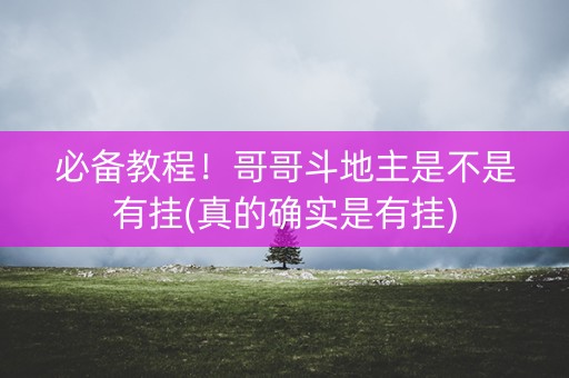 必备教程！哥哥斗地主是不是有挂(真的确实是有挂)