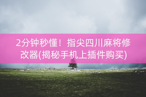2分钟秒懂！指尖四川麻将修改器(揭秘手机上插件购买)