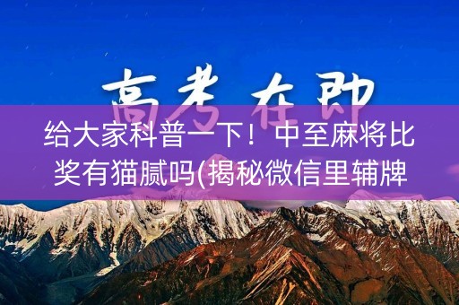 给大家科普一下！中至麻将比奖有猫腻吗(揭秘微信里辅牌器)