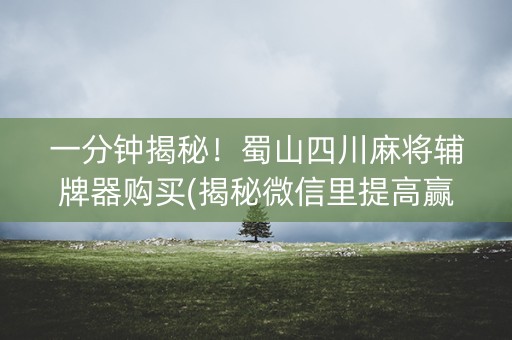 一分钟揭秘！蜀山四川麻将辅牌器购买(揭秘微信里提高赢的概率)