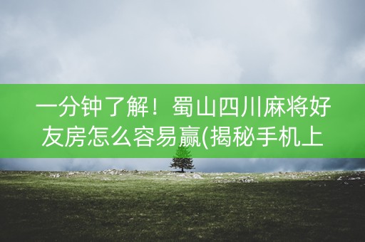 一分钟了解！蜀山四川麻将好友房怎么容易赢(揭秘手机上助攻神器)