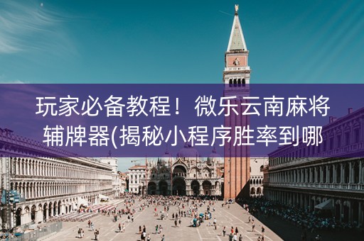 玩家必备教程！微乐云南麻将辅牌器(揭秘小程序胜率到哪调)