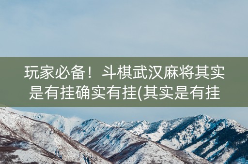 玩家必备！斗棋武汉麻将其实是有挂确实有挂(其实是有挂的)