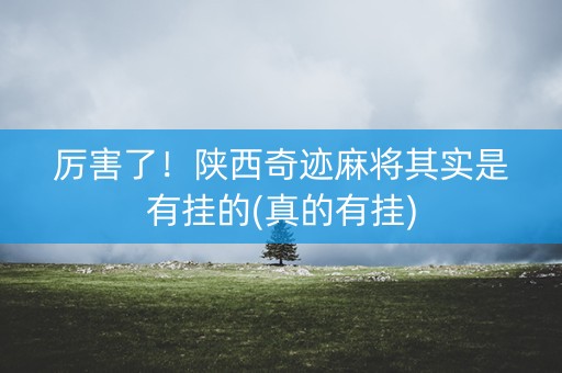 厉害了！陕西奇迹麻将其实是有挂的(真的有挂)