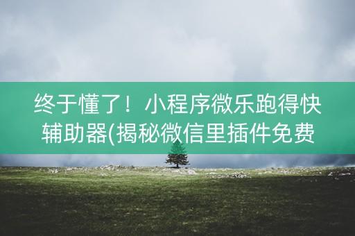 终于懂了！小程序微乐跑得快辅助器(揭秘微信里插件免费)