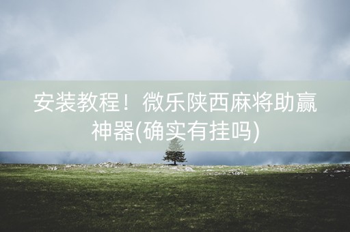 安装教程！微乐陕西麻将助赢神器(确实有挂吗)