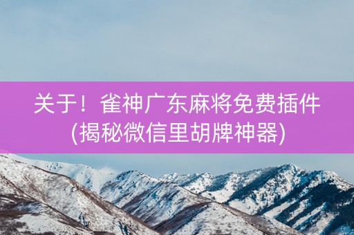 关于！雀神广东麻将免费插件(揭秘微信里胡牌神器)