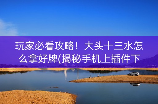 玩家必看攻略！大头十三水怎么拿好牌(揭秘手机上插件下载)