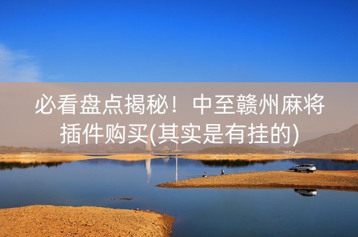 必看盘点揭秘！中至赣州麻将插件购买(其实是有挂的)