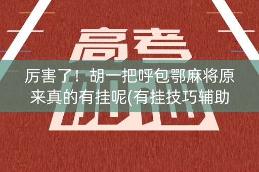 厉害了！胡一把呼包鄂麻将原来真的有挂呢(有挂技巧辅助器)
