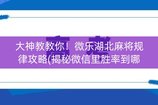 大神教教你！微乐湖北麻将规律攻略(揭秘微信里胜率到哪调)